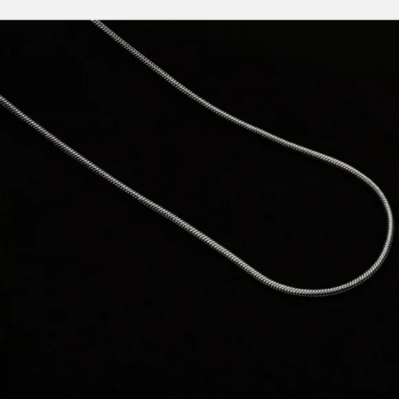 18" Snake S925 STAMPED Silver Chain - 1MM - Picture 3 of 5